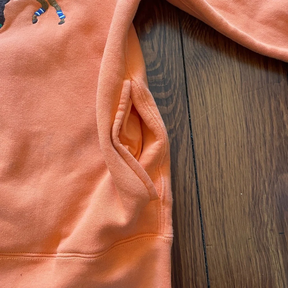 Triple-Pony Fleece Hoodie, orange, boys medium (10-12) - Picture 3 of 5